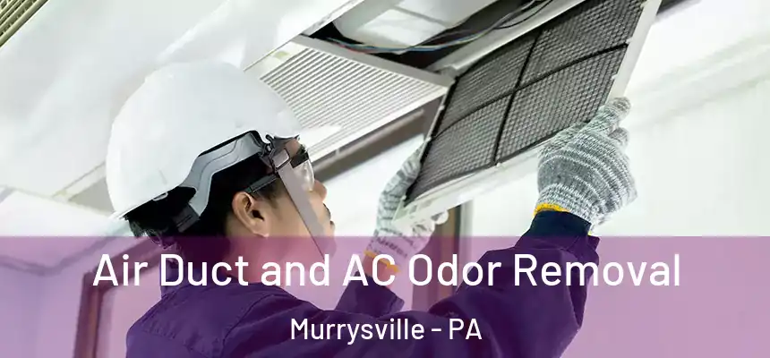  Air Duct and AC Odor Removal Murrysville - PA