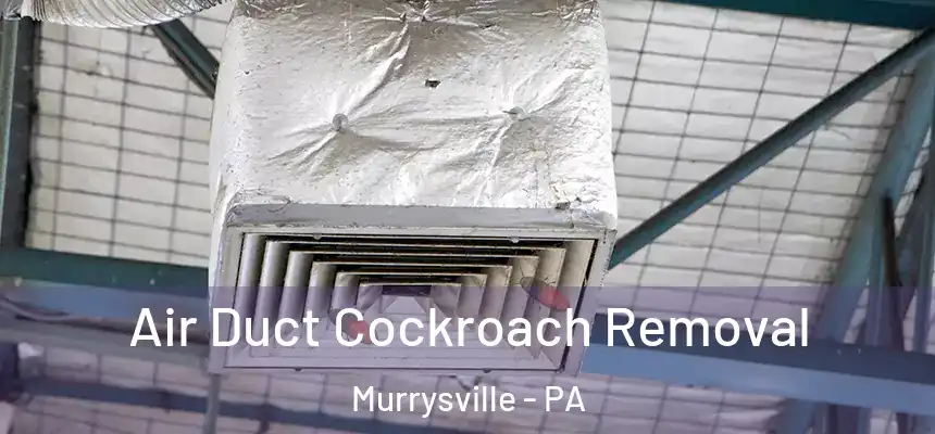 Air Duct Cockroach Removal Murrysville - PA