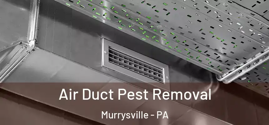 Air Duct Pest Removal Murrysville - PA