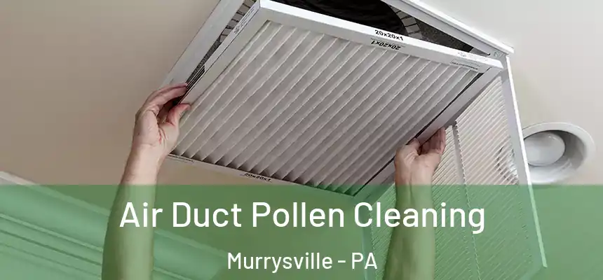  Air Duct Pollen Cleaning Murrysville - PA