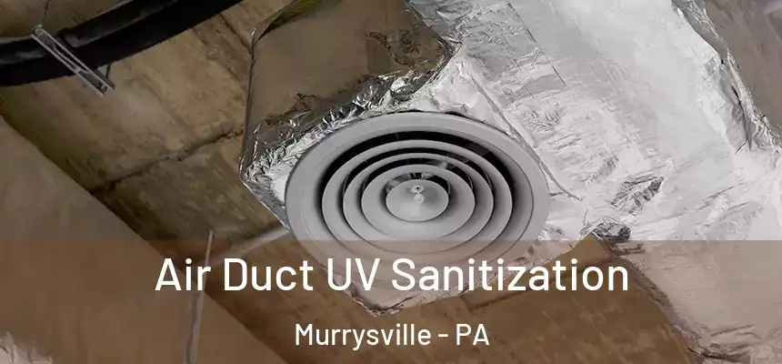  Air Duct UV Sanitization Murrysville - PA