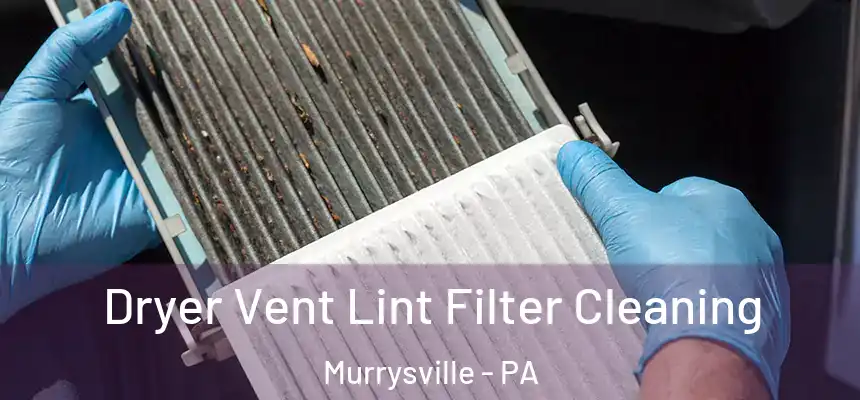  Dryer Vent Lint Filter Cleaning Murrysville - PA