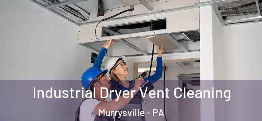  Industrial Dryer Vent Cleaning Murrysville - PA