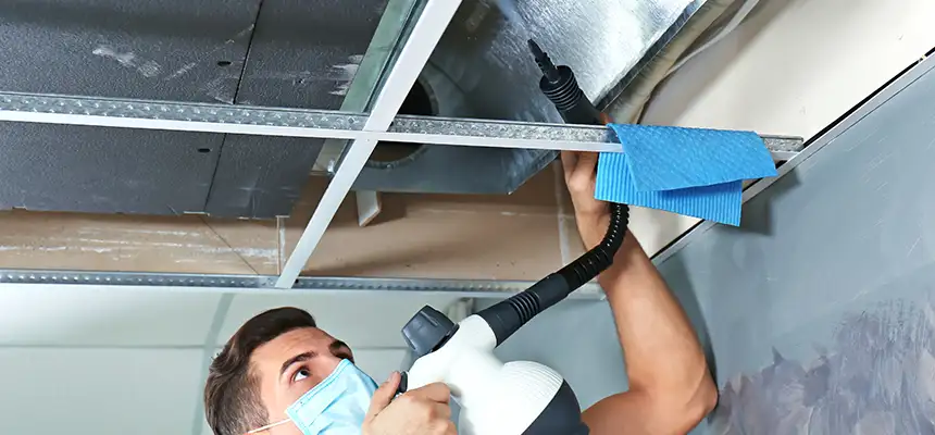 Our Air Duct Rodent Removal Services in Murrysville, PA