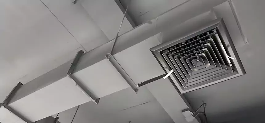 Our Rodent Droppings In Vents Services in Murrysville, PA