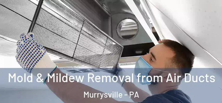  Mold & Mildew Removal from Air Ducts Murrysville - PA