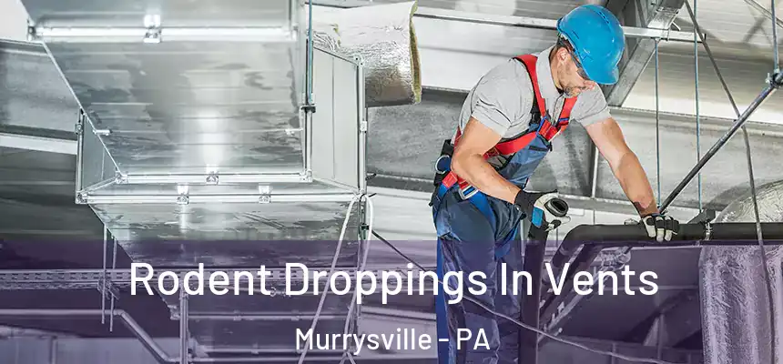  Rodent Droppings In Vents Murrysville - PA