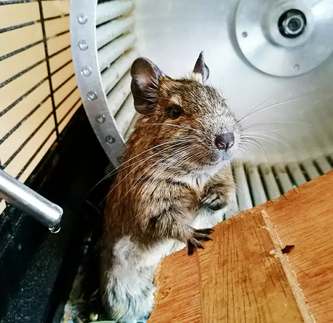 Why Homeowners & Businesses Trust Us Murrysville, PA?