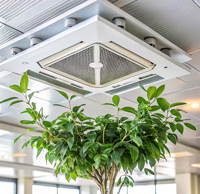 Why Homeowners & Businesses Trust Us in Murrysville, PA?