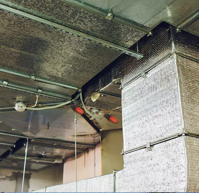 Why Homeowners & Businesses Trust Us Murrysville, PA?