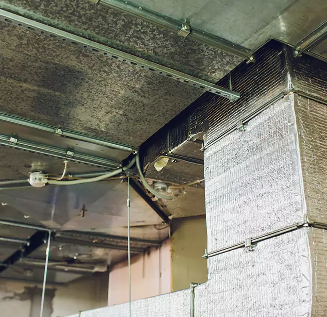 Why Homeowners & Businesses Trust Us in Murrysville, PA?