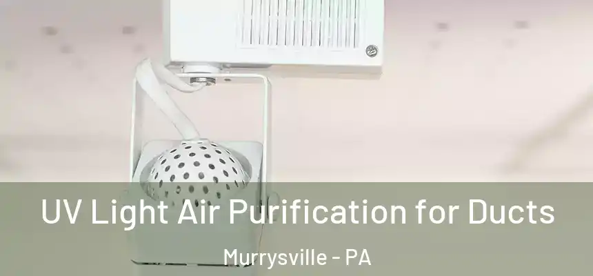  UV Light Air Purification for Ducts Murrysville - PA